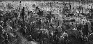 David Yarrow - \'Mankind\', 2014
