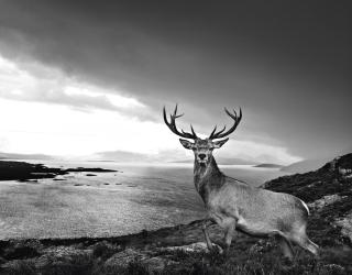 David Yarrow - Over The Sea To Skye, 2017