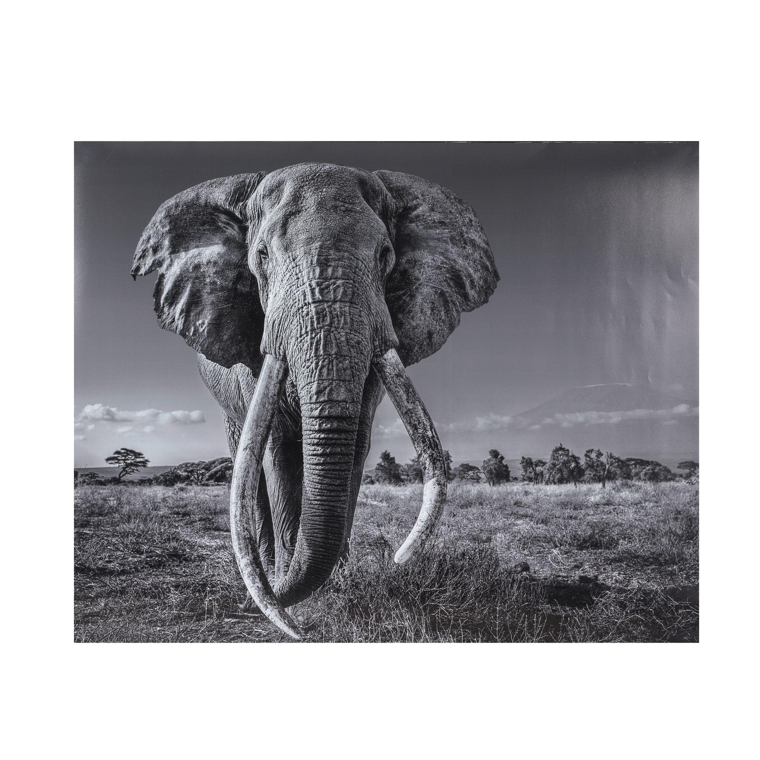 David Yarrow - Space for Giant, 2020