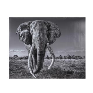 David Yarrow - Space for Giant, 2020