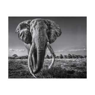 David Yarrow - Space for giants, 2020