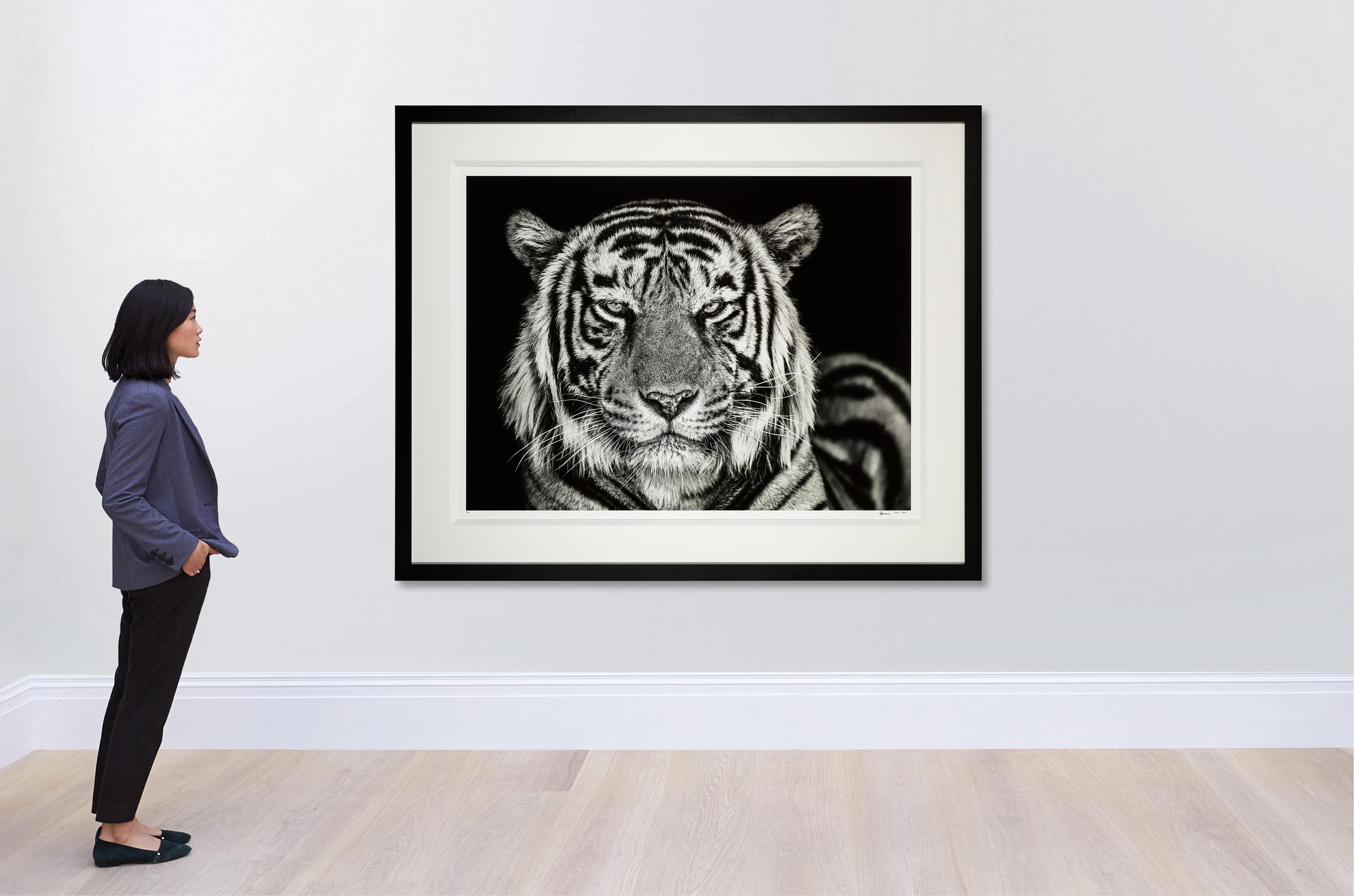 David Yarrow - The Cave