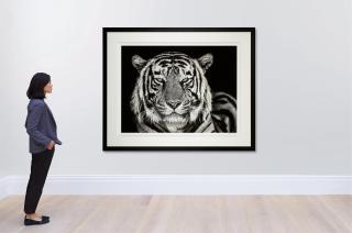 David Yarrow - The Cave