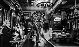 David Yarrow - The Wolf Of Main Street