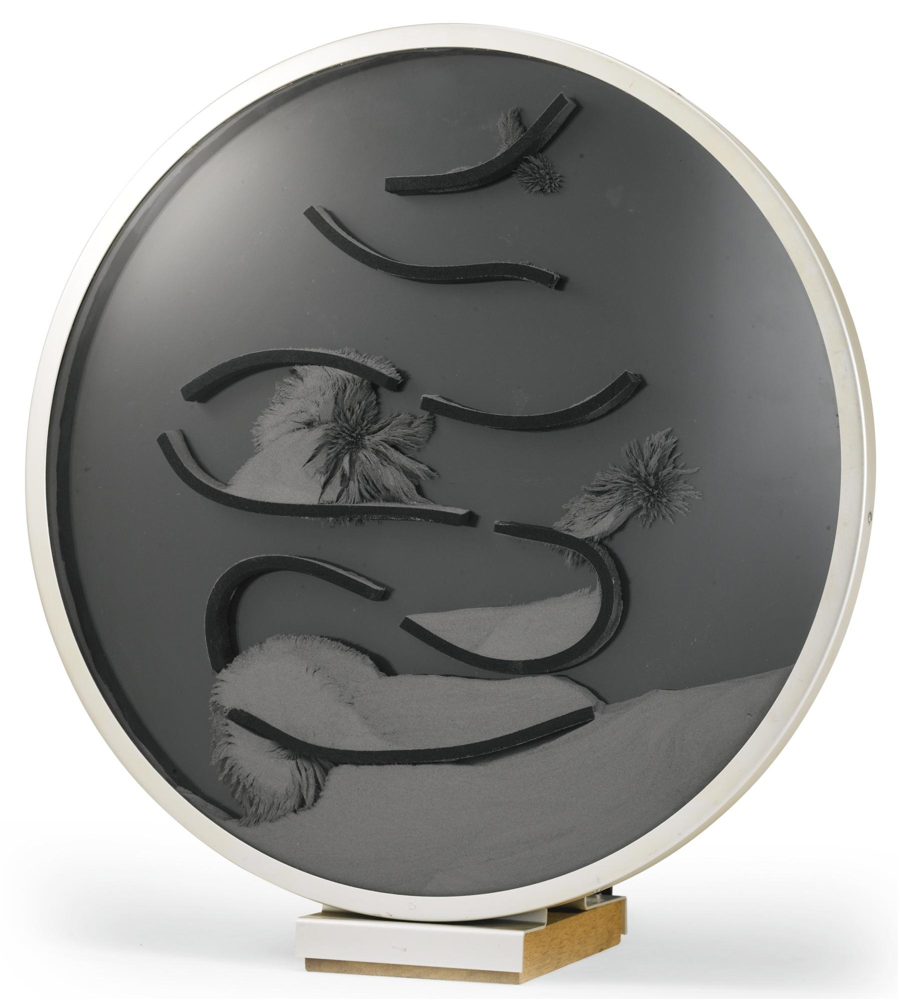 Davide Boriani - Superficie Magnetica