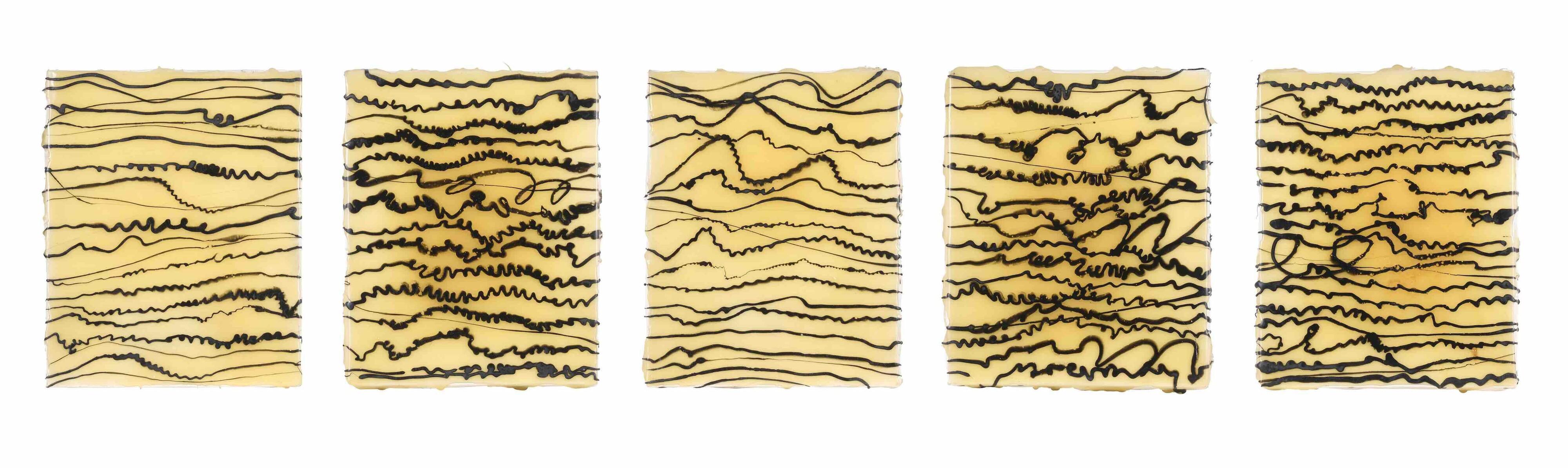 Davide Nido - Linguaggio frattale