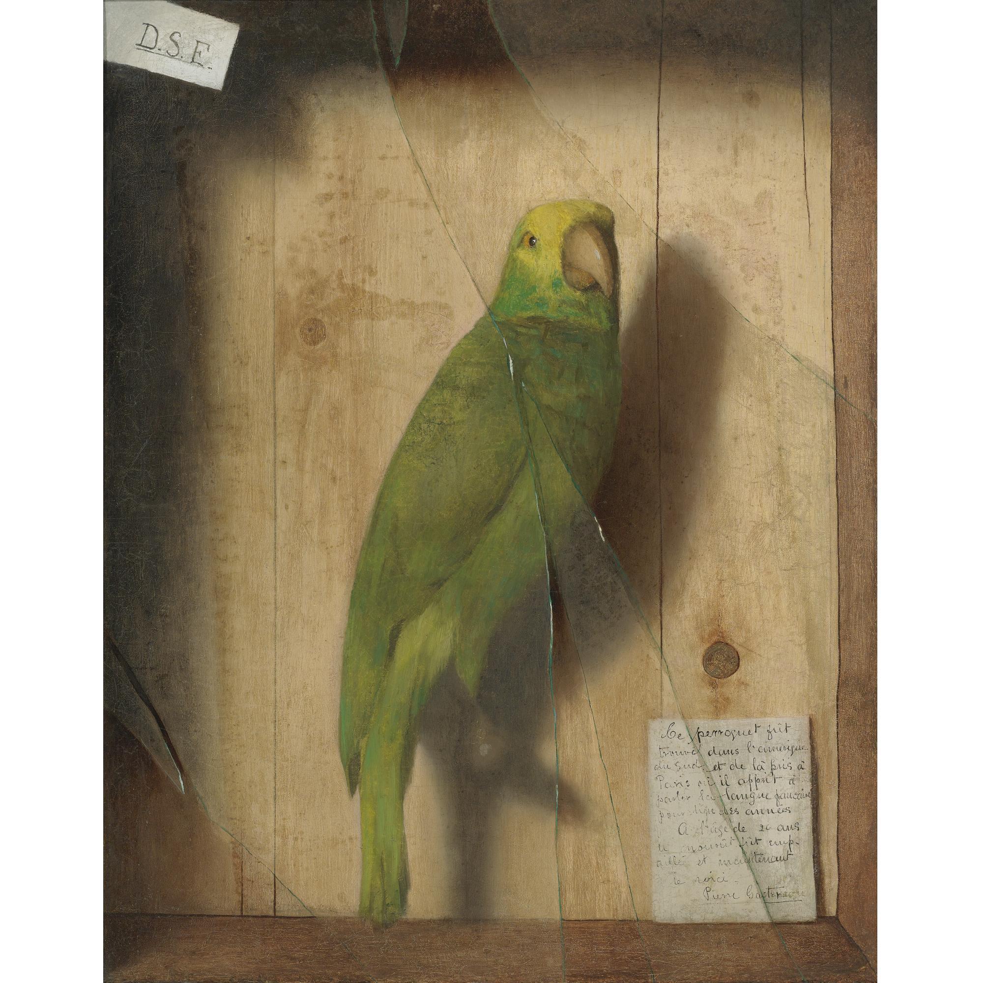 De Scott Evans - Homage To A Parrot