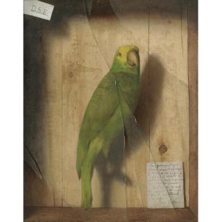 De Scott Evans - Homage To A Parrot