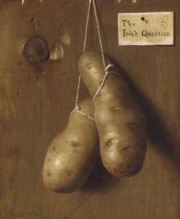 De Scott Evans - The Irish Question