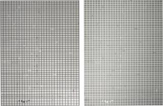 Dean Levin - Untitled