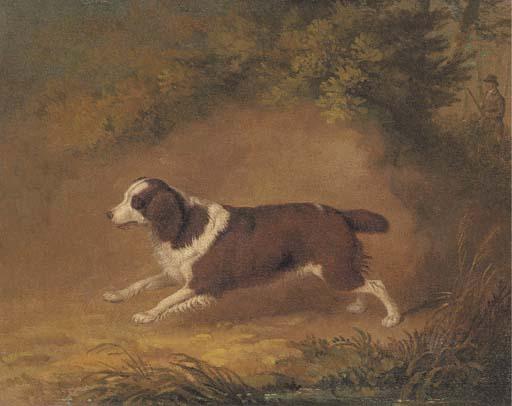 Dean Wolstenholme, Sen. - Fanny, a Favourite Spaniel of H. Erskine Esq.