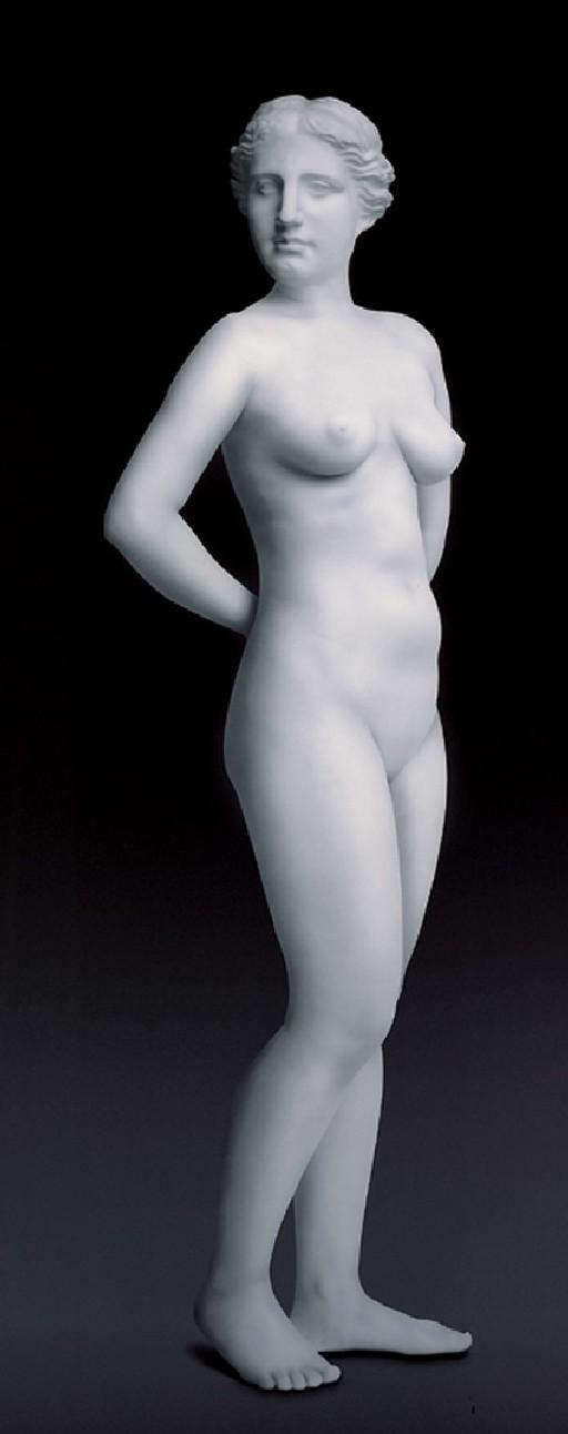 Debbie Han - An Everyday Venus I