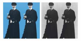 Deborah Kass - Double Double Yentl (My Elvis)