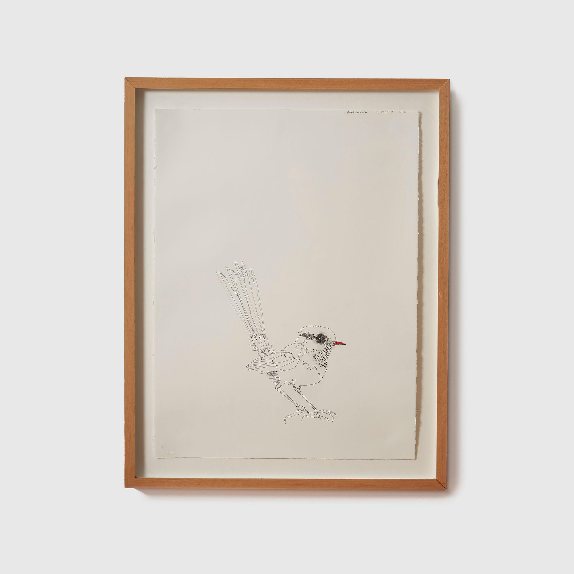 Del Kathryn Barton - Splendid Wren and Willow, 2004