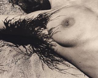 Denis Piel - \