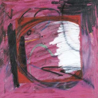 Denise Green - Suseneo