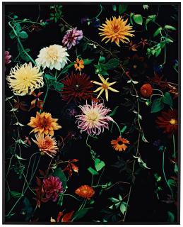 Denise Grünstein - \