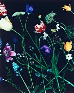 Denise Grünstein - \