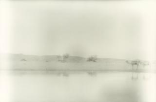 Denise Grünstein - \