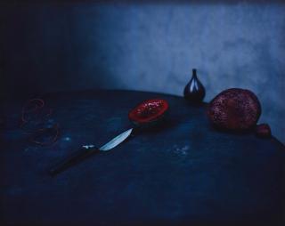 Denise Grünstein - \'Cadmium Red\', 2011