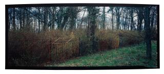 Denise Grünstein - Denise Grünstein, photograph signed and numbered 1/3 verso