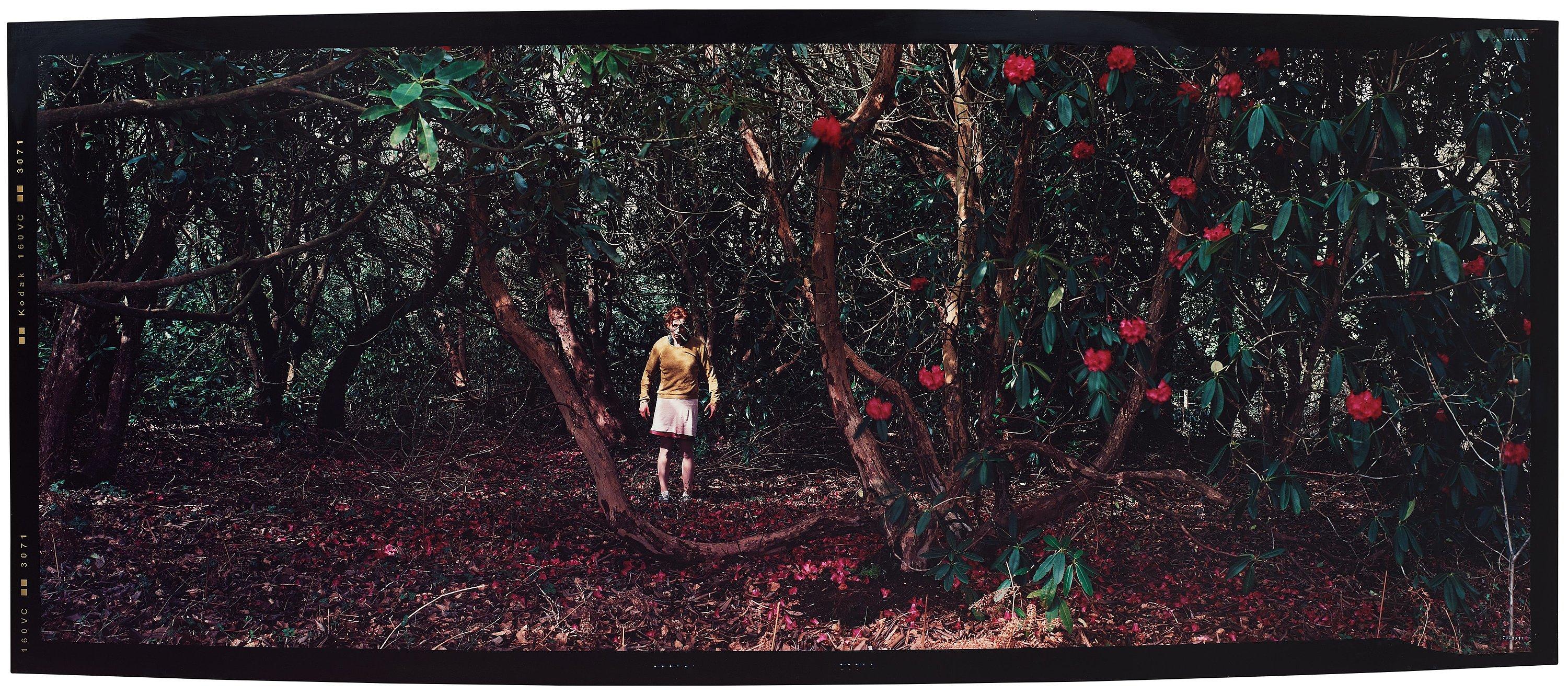 Denise Grünstein - \