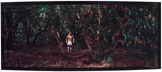 Denise Grünstein - \