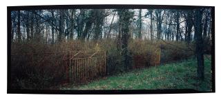 Denise Grünstein - \