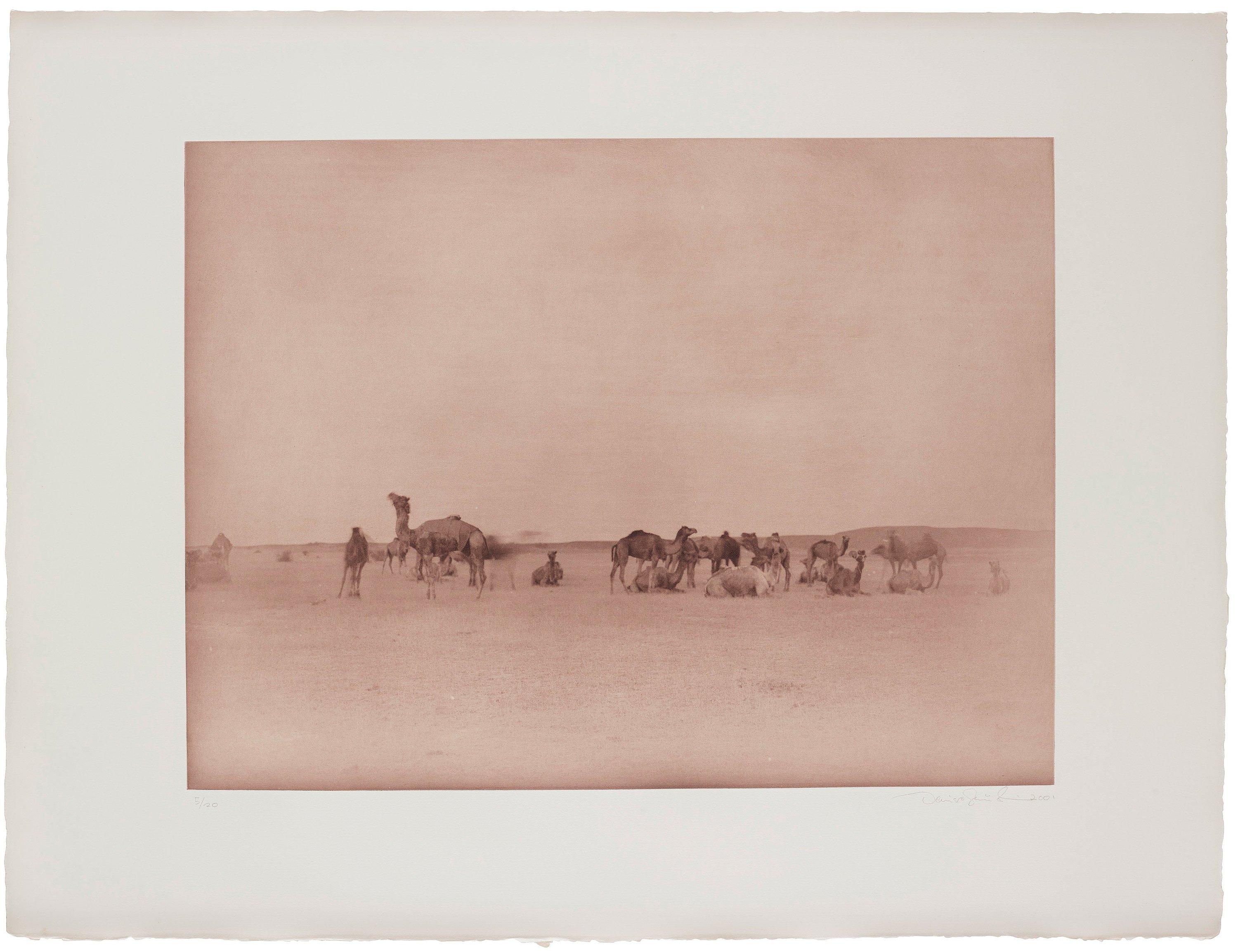 Denise Grünstein - \