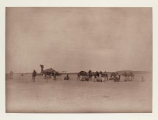 Denise Grünstein - \