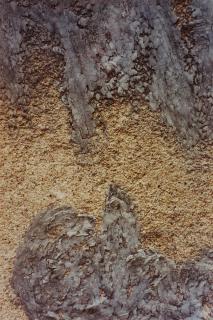 Dennis Hopper - Cahors, France