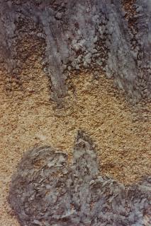 Dennis Hopper - Cahors, France