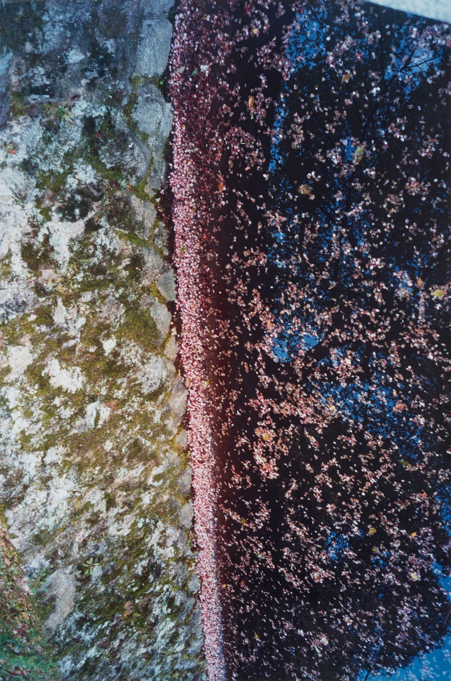 Dennis Hopper - Kyoto (Kiyomizu Temple Pond)