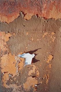 Dennis Hopper - Morocco (Terracotta Peel)