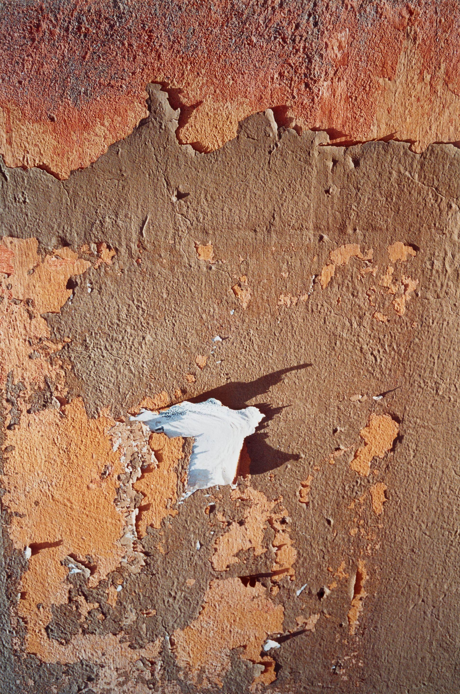 Dennis Hopper - Morocco (Terracotta Peel)