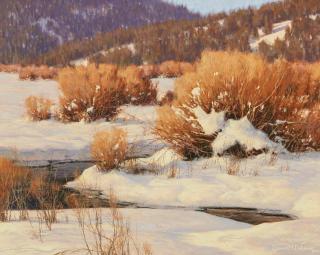 Dennis M. Doheny - The Hush of Winter