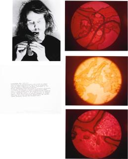 Dennis Oppenheim - Gingerbread Man