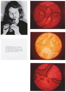 Dennis Oppenheim - Gingerbread Man