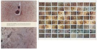 Dennis Oppenheim - Ground Gel