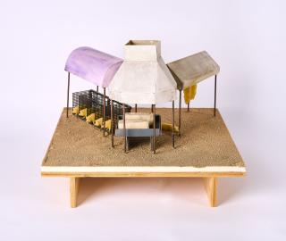 Dennis Oppenheim - Pig Farm.