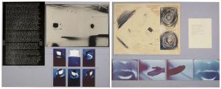 Dennis Oppenheim - Proposal for Black Skin - Black Walls