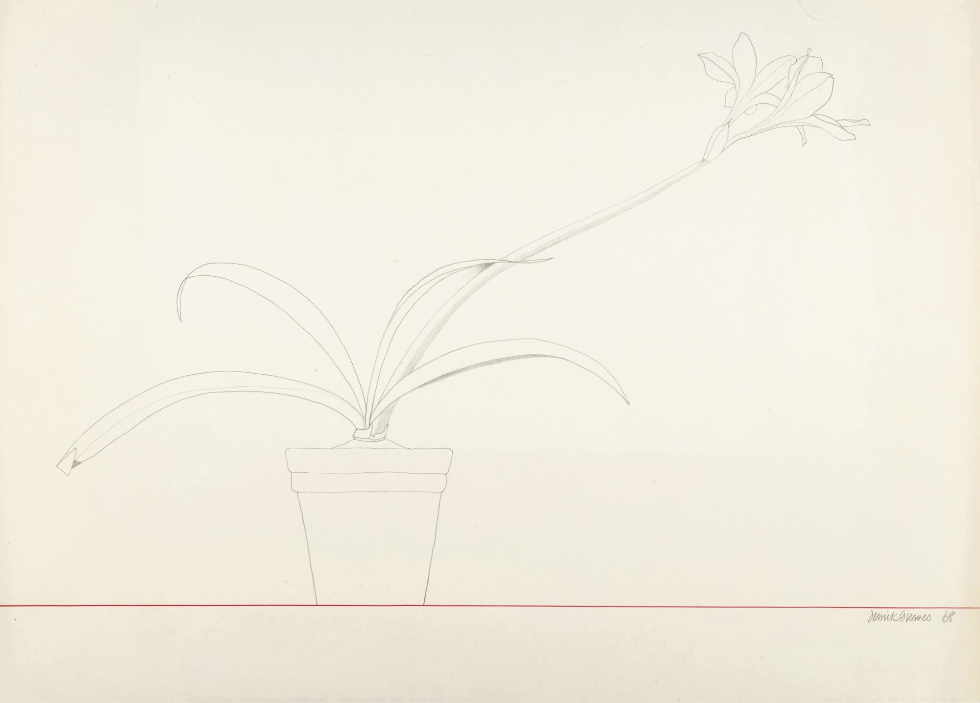 Derrick Greaves - Potted Plant