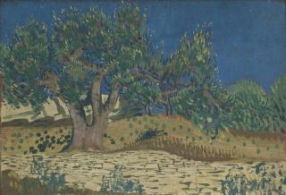 Derwent Lees - Olive Tree