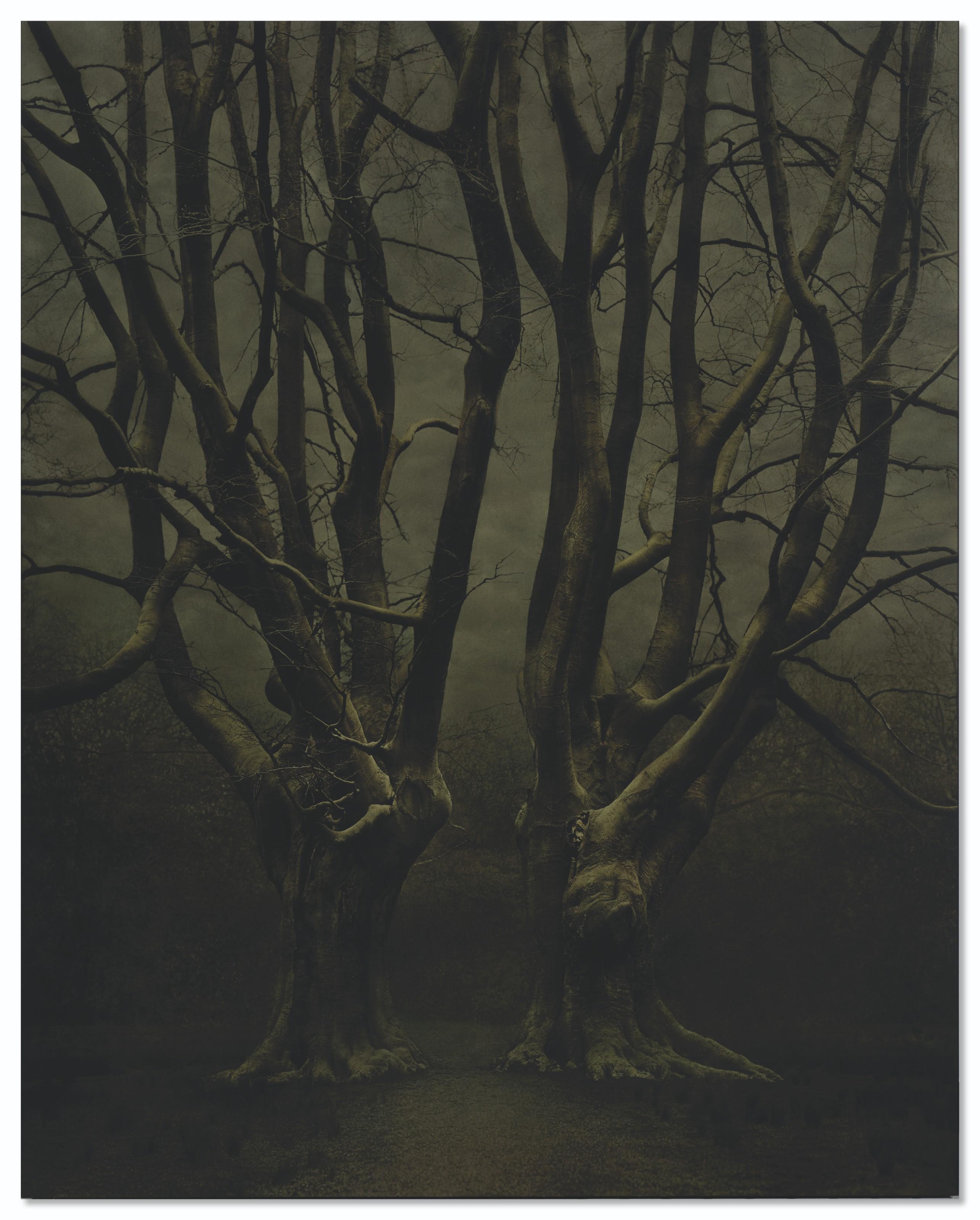 Désirée Dolron - Xterios IX