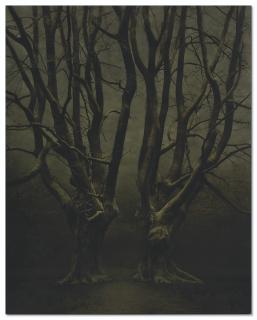 Désirée Dolron - Xterios IX