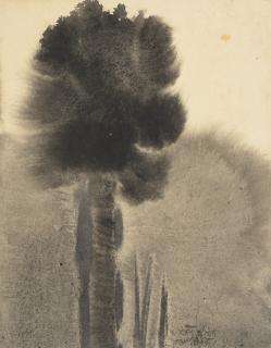 Devi Prasad Roy Chowdhury - Destiny\'S Row