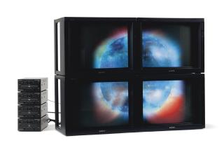 Diana Thater - Composite Sun Video Wall