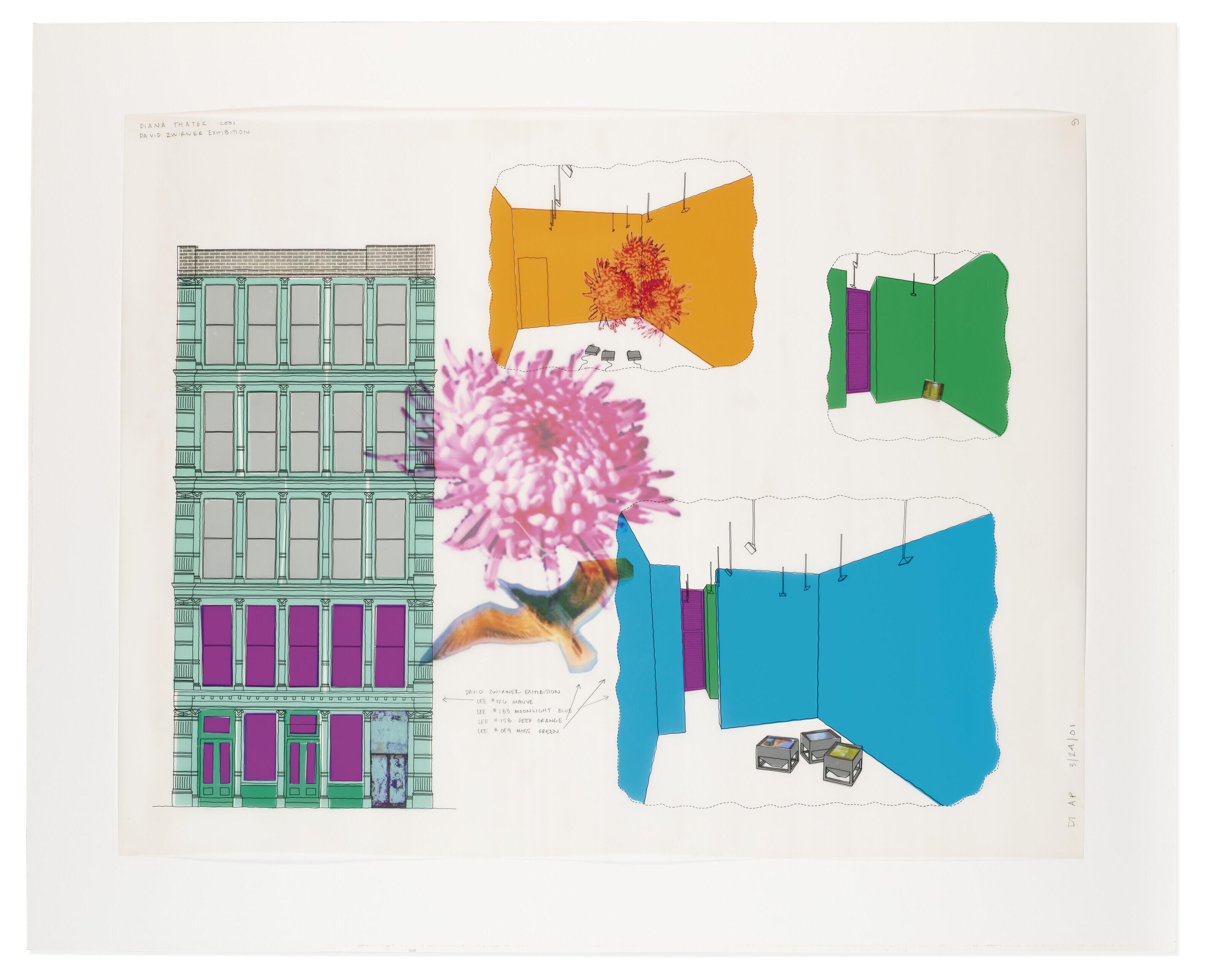 Diana Thater - David Zwirner Exhibition