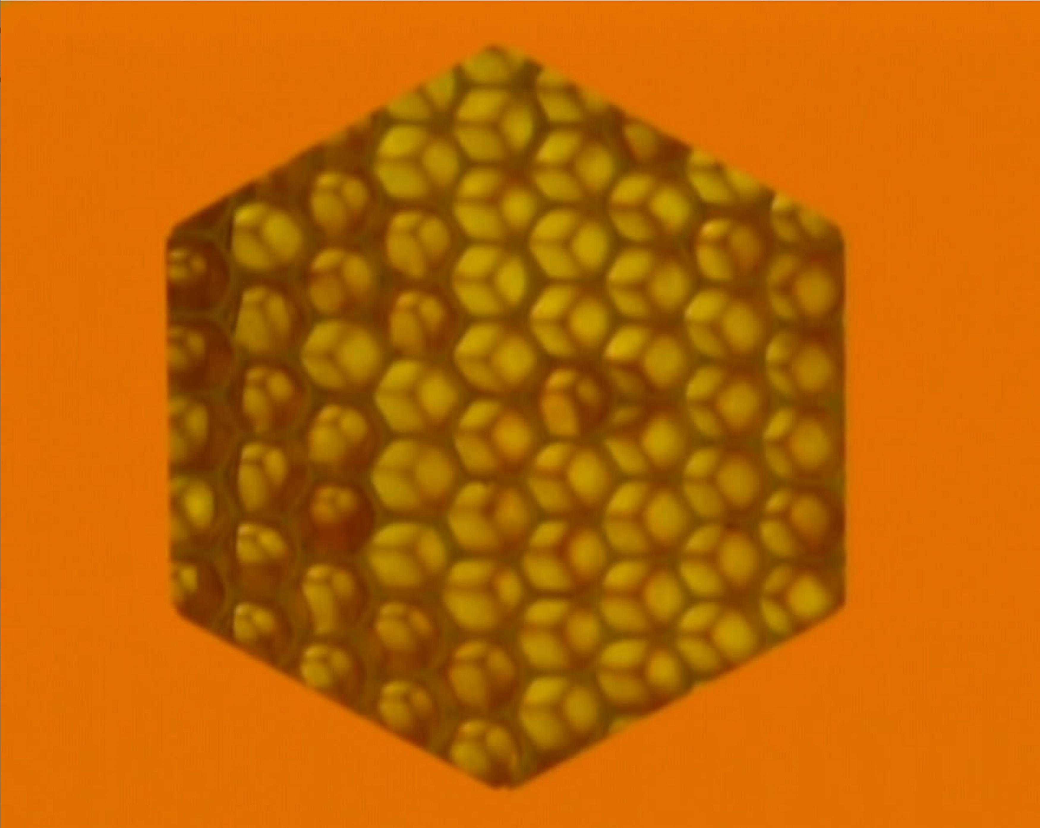 Diana Thater - Ohne Titel (für Parkett 60).