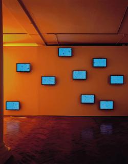 Diana Thater - Perpetual Motion Two